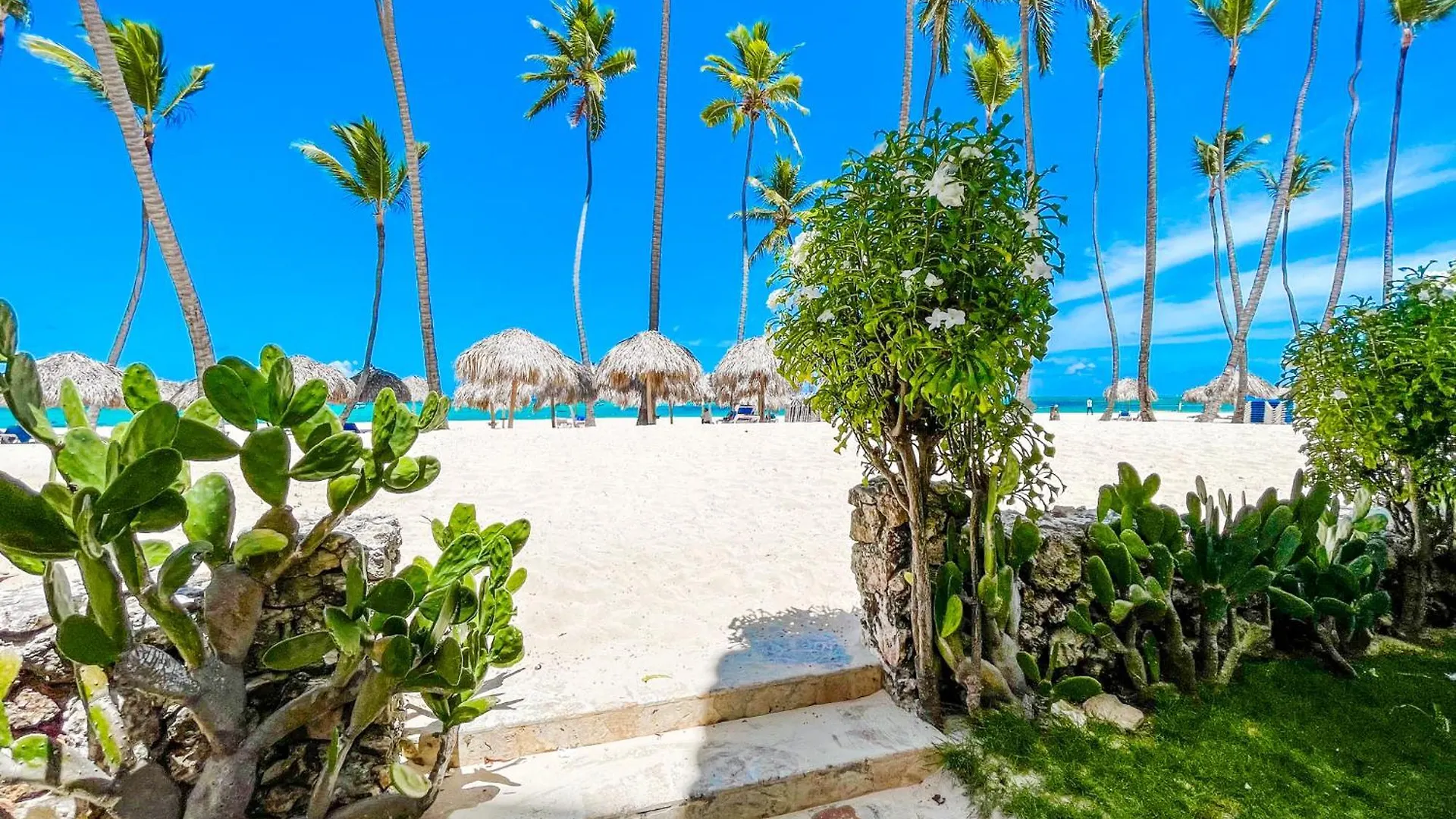 Caribbean Galaxy Hotel Wifi Paradise Los Corales Bavaro Beach Club & Spa Punta Cana