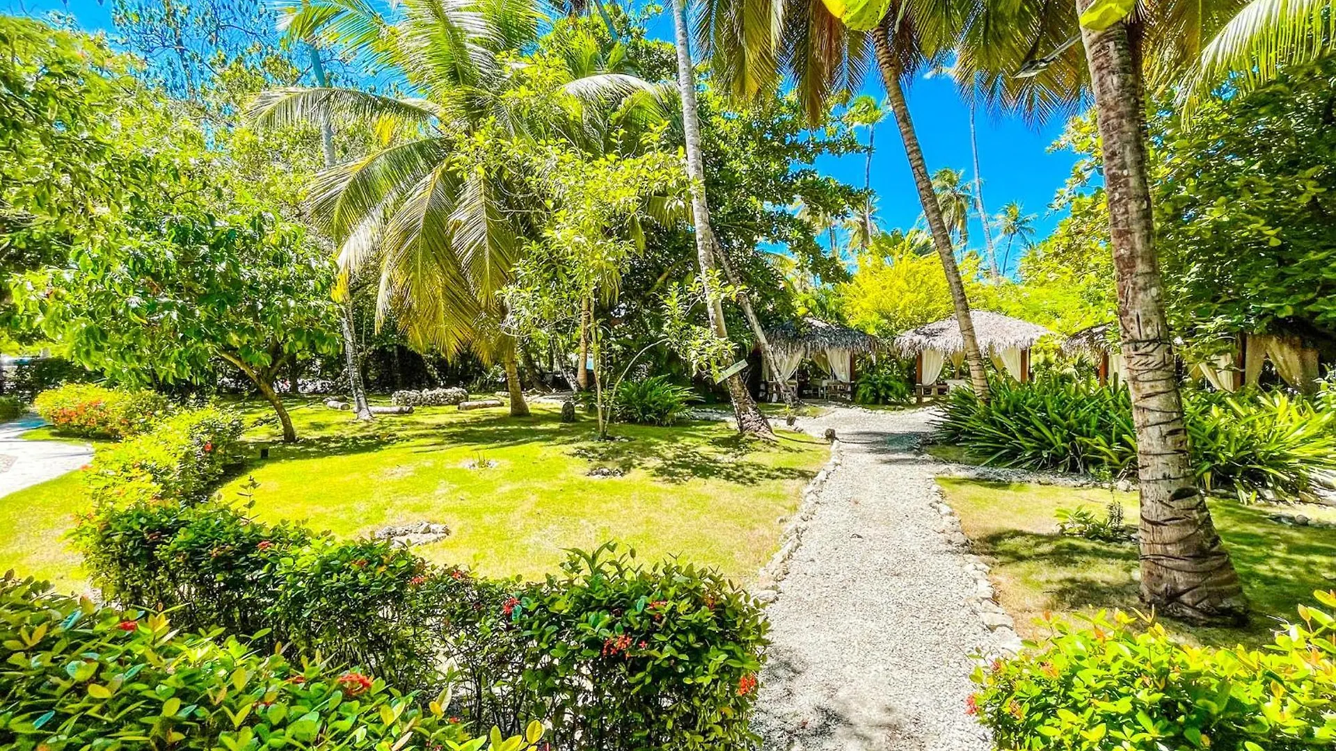 Caribbean Galaxy Hotel Wifi Paradise Los Corales Bavaro Beach Club & Spa Punta Cana